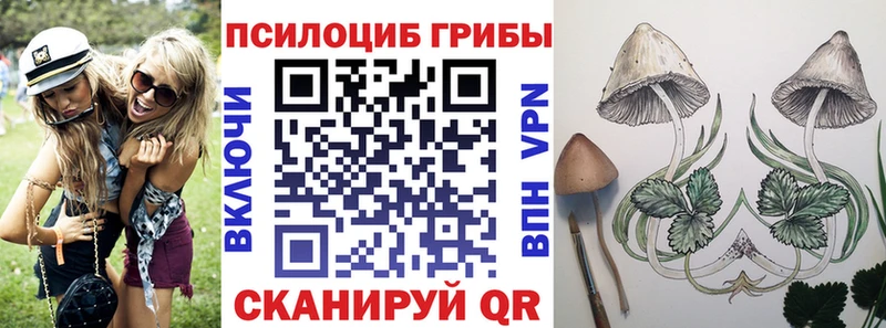 Псилоцибиновые грибы прущие грибы где купить наркоту Темрюк